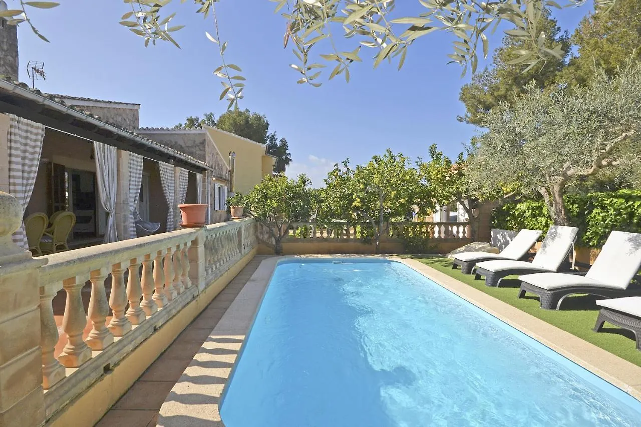 Villa Llimona contacts